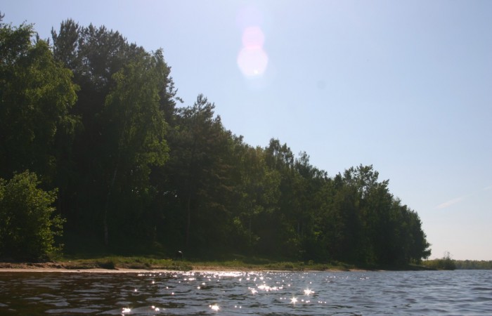 einer der vielen Sandstrände am Senftenberger See